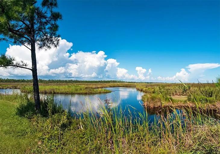 Gulf Alabama State Park