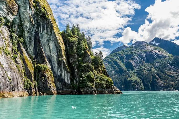 Tracy Arm Fjord