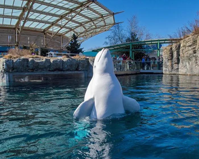 Mystic Aquarium Connecticut 