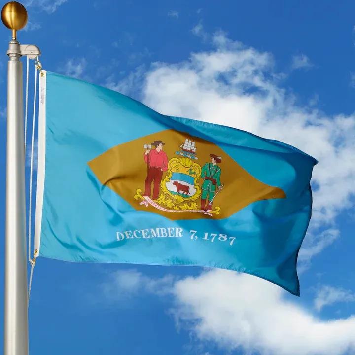 Delaware flag