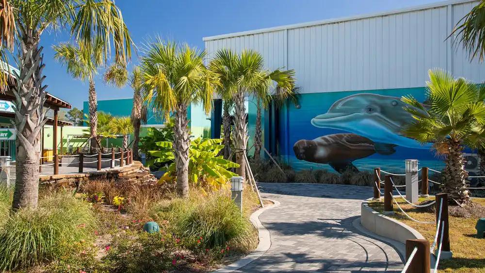 The Institute for Marine Mammal Studies