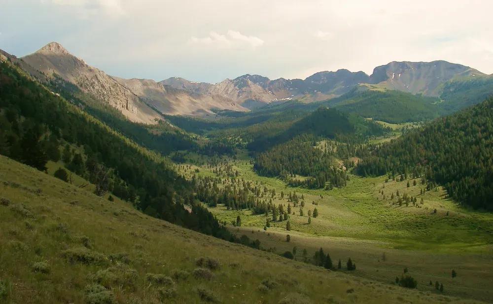 National Forest Montana