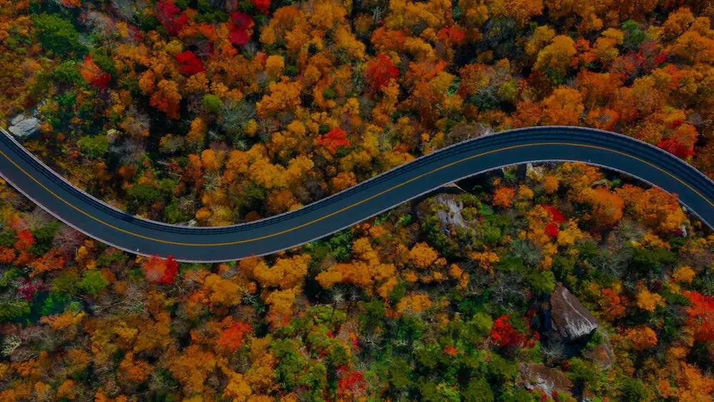 Blue Ridge parkway