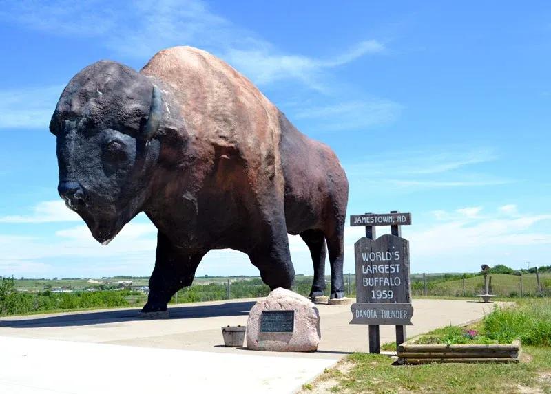 National Buffalo Museum