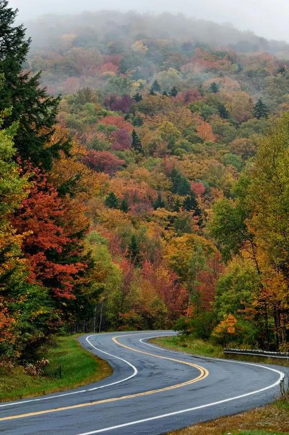 Nationwide Moving Guides For Anywhere in America SVL