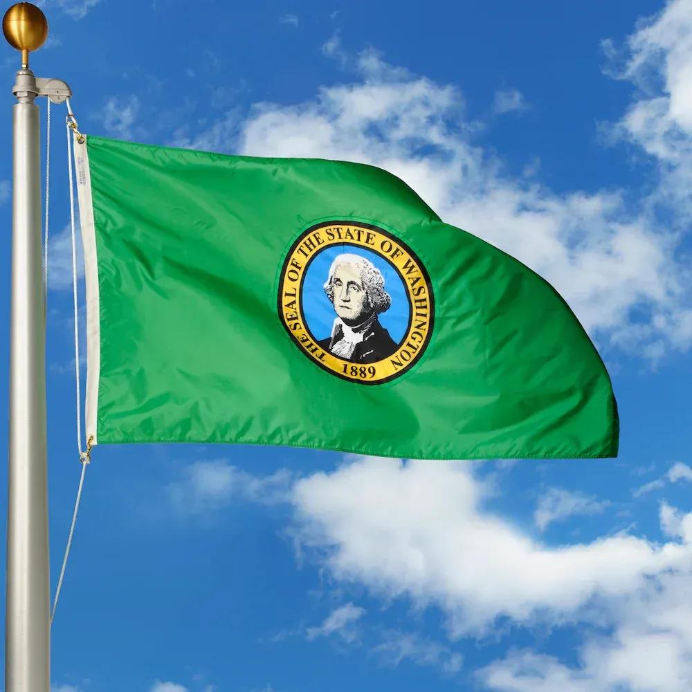 Washington flag image SVL