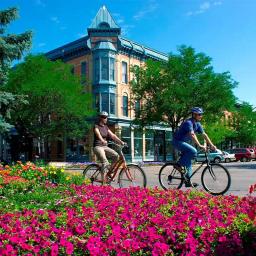 Movers Fort Collins STAR VAN LINES