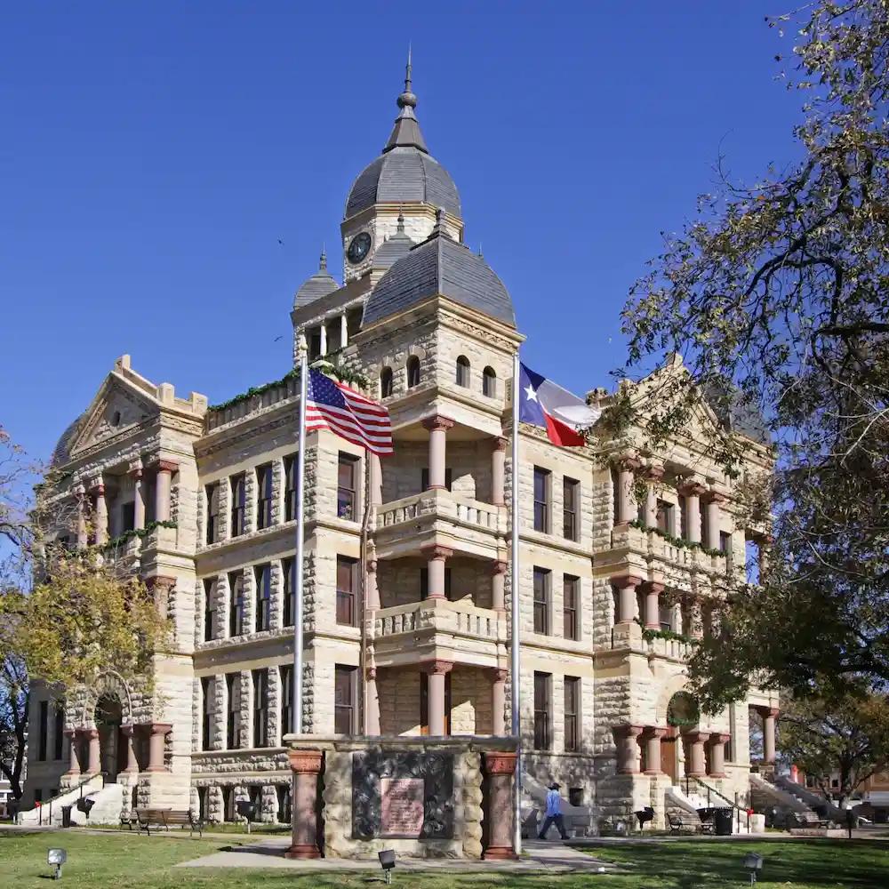 Texas flag icon