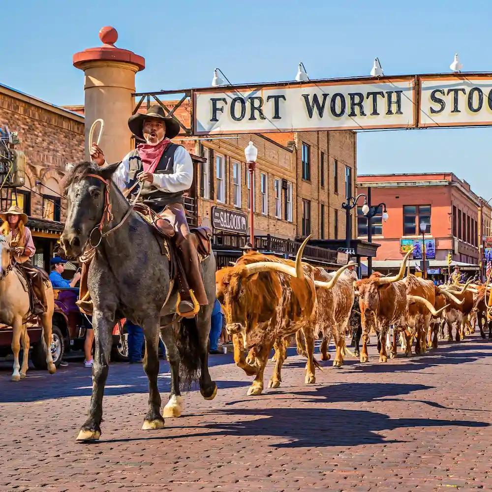 Guide for Moving to Fort Worth
