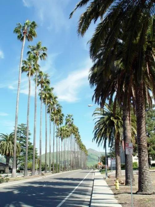 The best neighborhoods in Fremont SVL