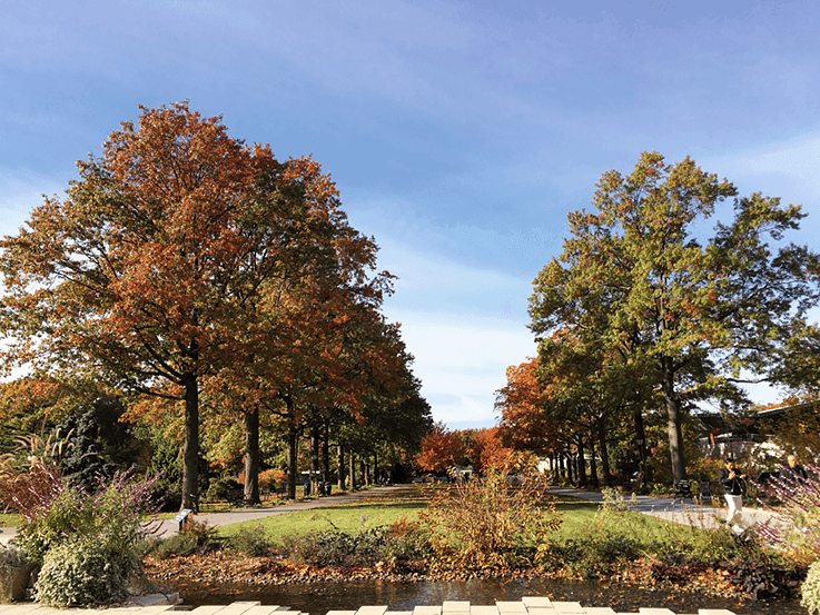 Queens Botanical Garden