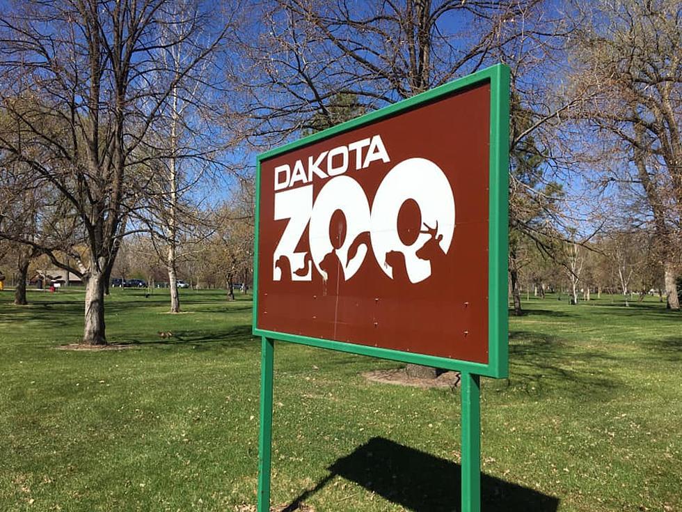 Dakota Zoo