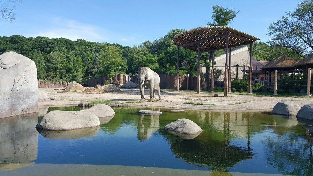 Cleveland Metroparks Zoo