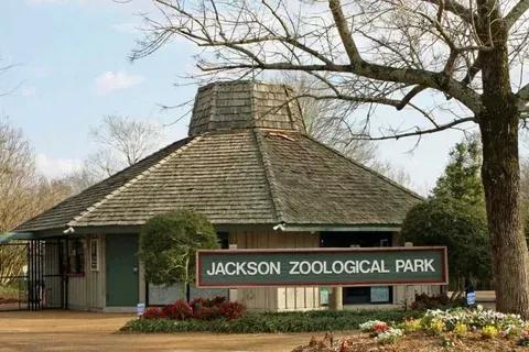 The Jackson Zoo