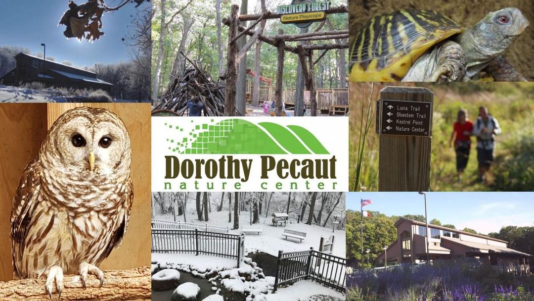 Dorothy Pecaut Nature Center SVL