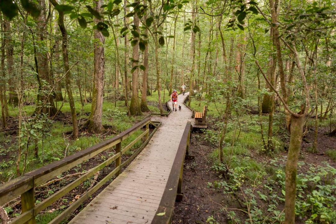 Congaree National Park SVL