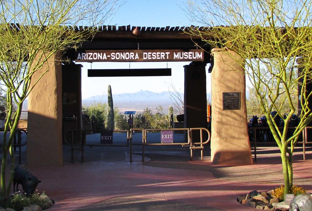 Arizona-Sonora Desert Museum