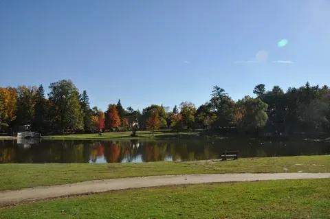 White Park SVL