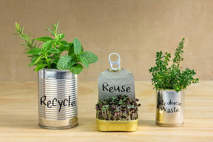 Household Solutions for Eco-Friendly Living SVL