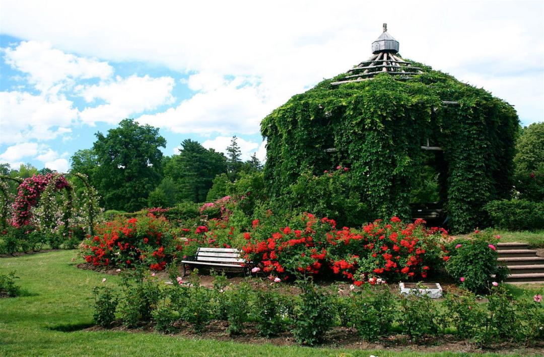 Elizabeth Park SVL