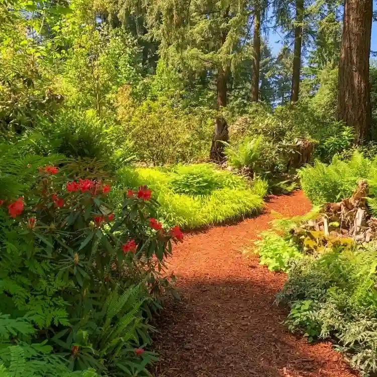 Rhododendron Species Botanical Garden