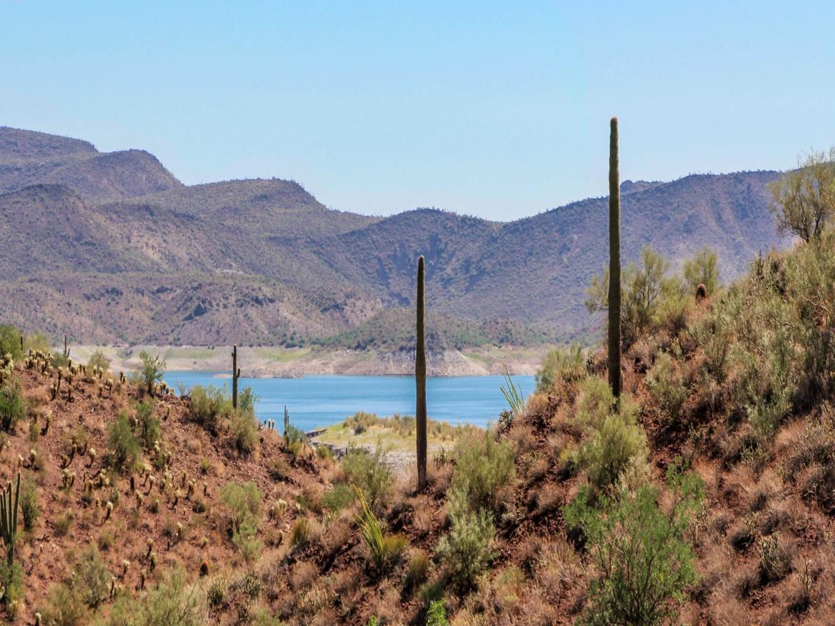 Arizona flag icon