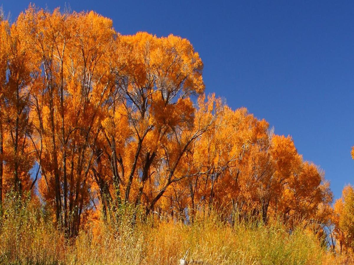 Idaho Falls Nature