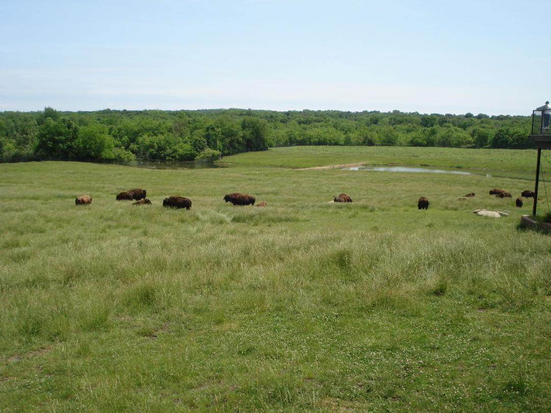 Wildlife Prairie Park SVL