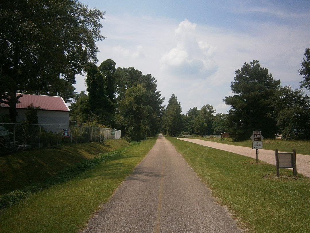 Longleaf Trace Trail Hattiesburg