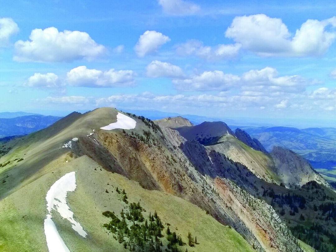 Museum of the Rockies Bozeman