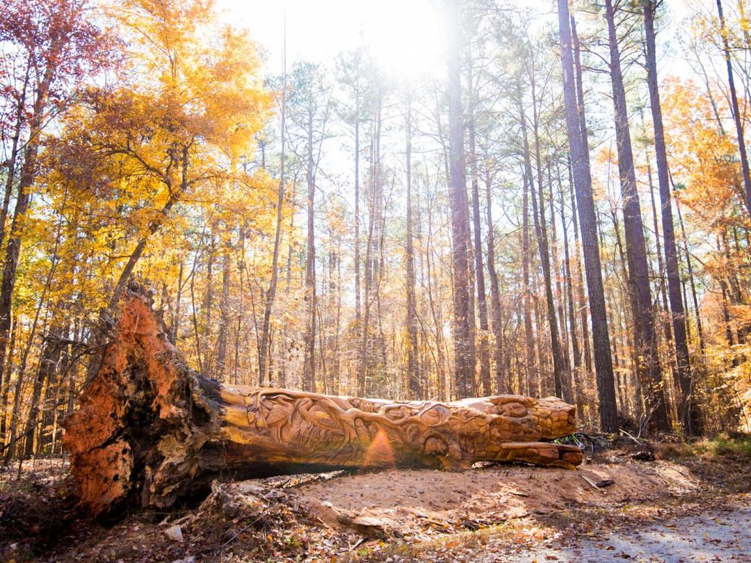 William B. Umstead State Park