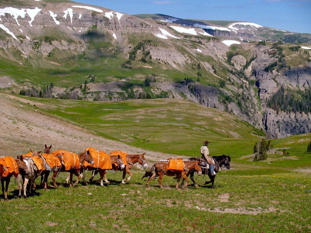Wild Horse Canyon Adventure SVL