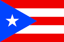 Puerto Rico flag icon
