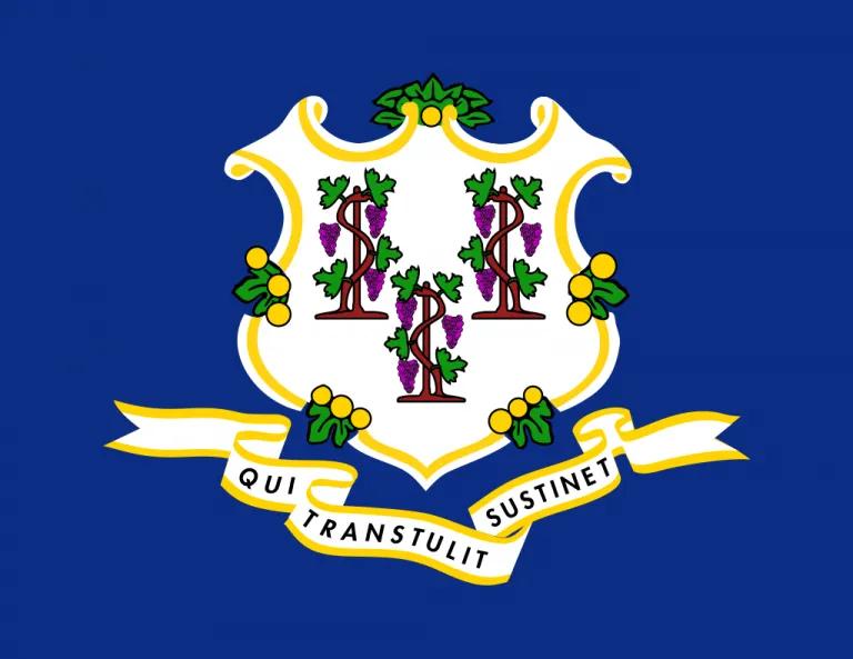 Connecticut flag icon