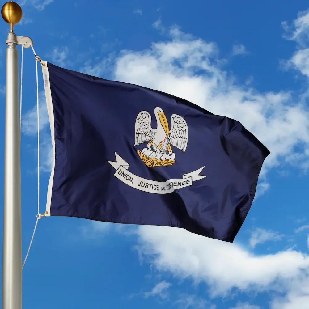 Louisiana flag image SVL