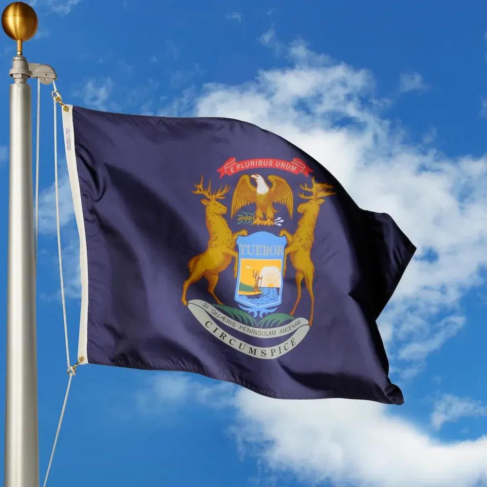 Michigan flag image SVL