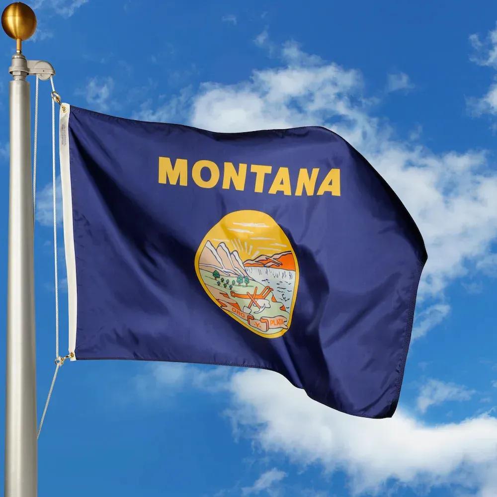 Montana flag image SVL