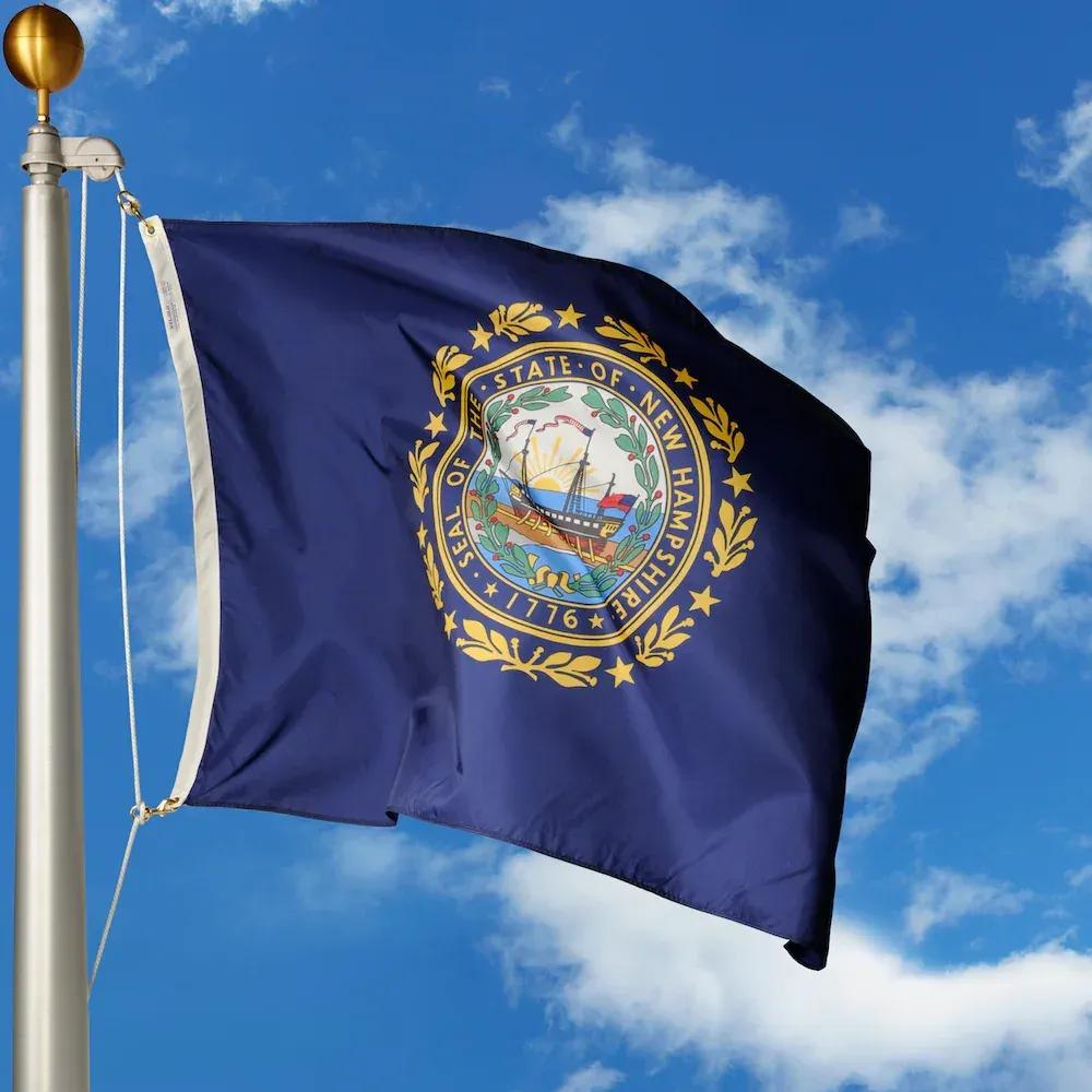 New Hampshire flag image SVL
