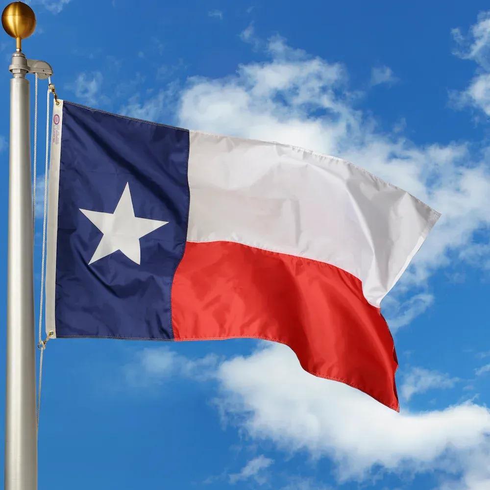 Texas flag image SVL