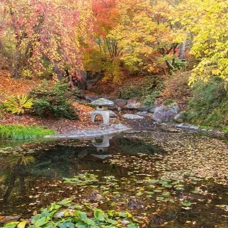 University of California Botanical Garden