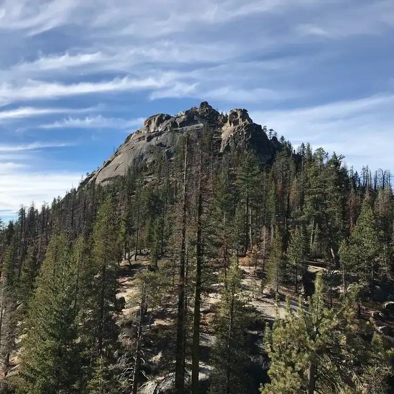 Sierra National Forest SVL
