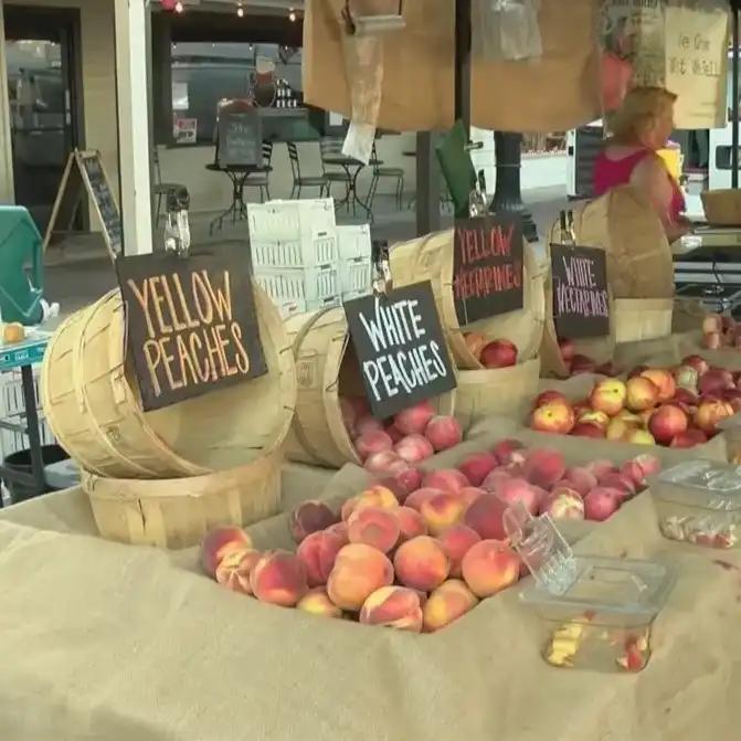 Friday Night Farmers Market SVL