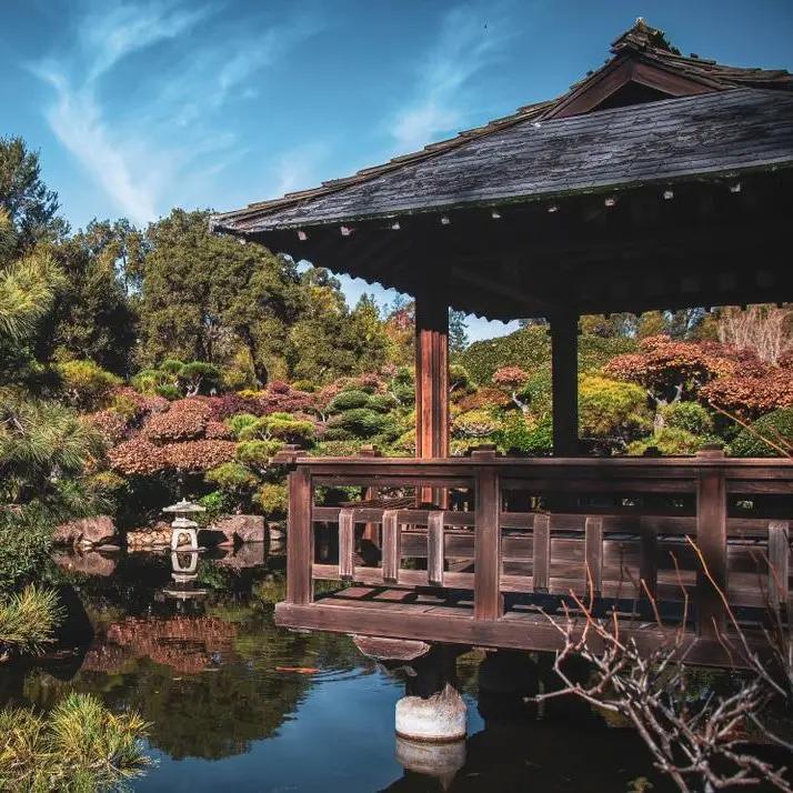 Hayward Japanese Gardens SVL