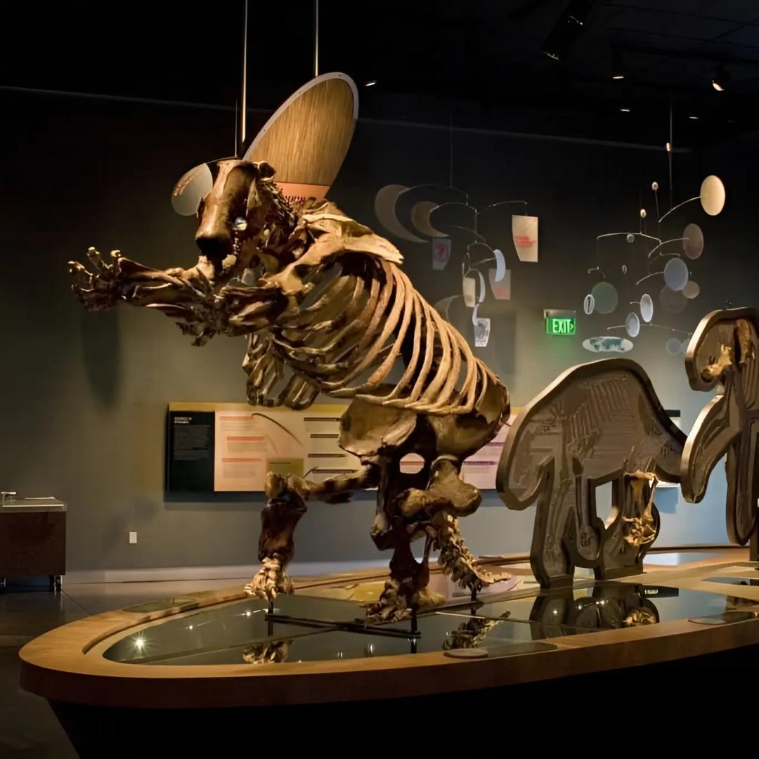 Western Science Centre SVL