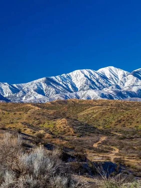 Nationwide Moving Guides For Anywhere in America SVL