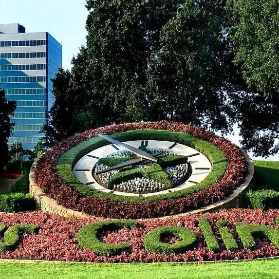 Las Colinas Flower Clock SVL