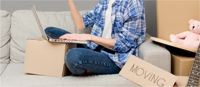 About our company SVL