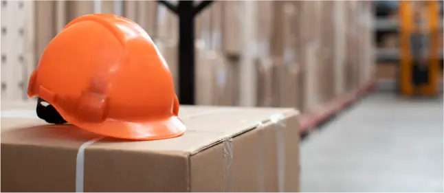 About our company SVL