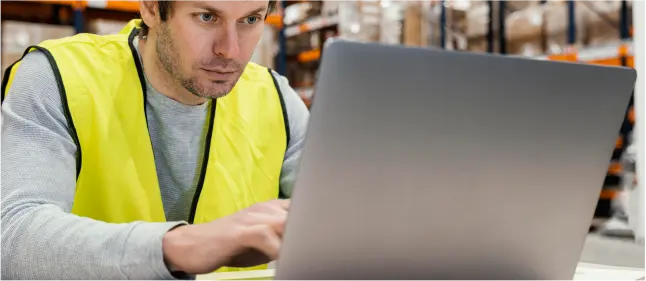 About our company SVL